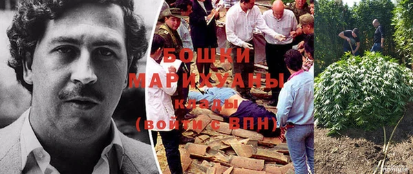 индика Михайлов