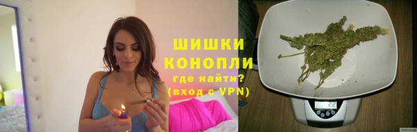 эйфоретик Новокубанск