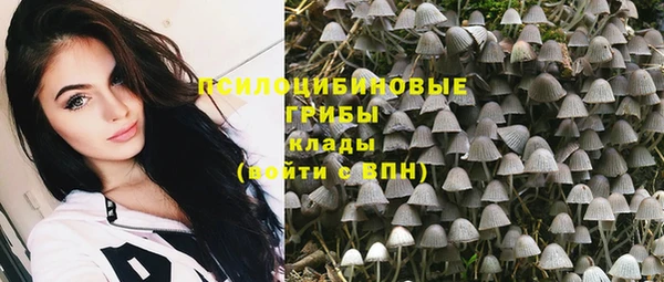 герыч Магас