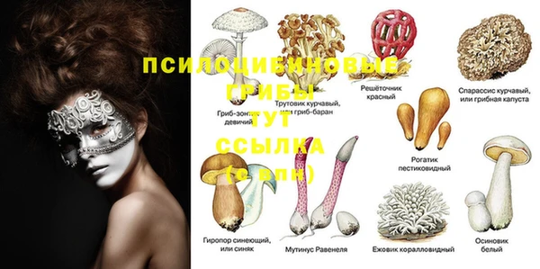 бошки Новозыбков