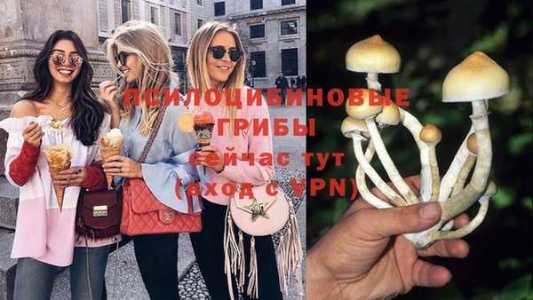 амф Абаза