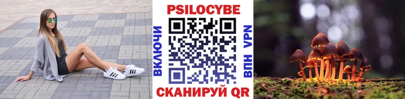 Галлюциногенные грибы прущие грибы  Владимир 
