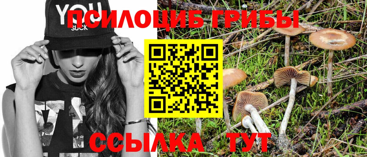 Галлюциногенные грибы ЛСД Владимир