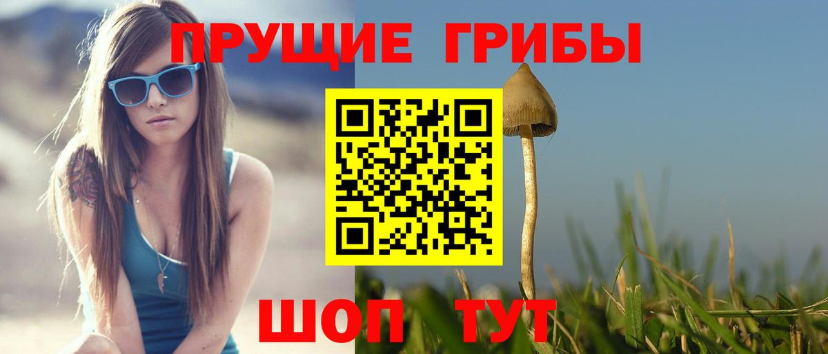 Владимир  Галлюциногенные грибы Psilocybe  Вход с VPN 